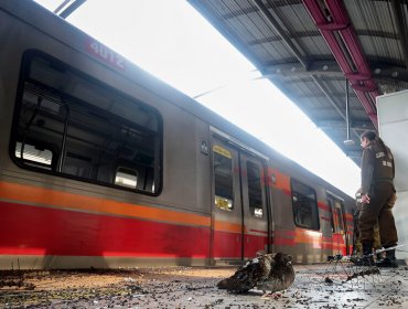 Trabajadores del Metro de Santiago condicionan diálogo con el Gobierno: sin militares y con anuncio de rebaja en la tarifa