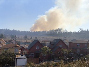 Incendio forestal de proporciones afecta a sector Tranque La Luz de Curauma