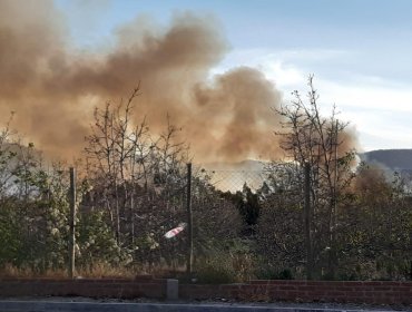 Diversos focos de incendios forestales en Limache