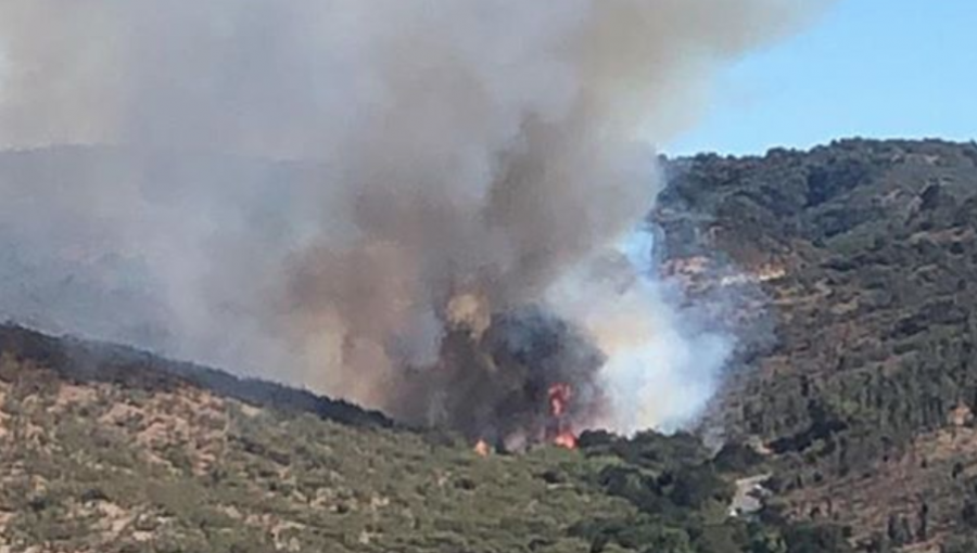 Con brigadas aéreas y terrestres combaten incendio forestal en sector Los Molles de Quilpué