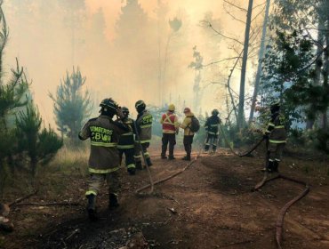 Alerta Amarilla en Valparaíso por tres focos activos de incendio forestal en Curauma