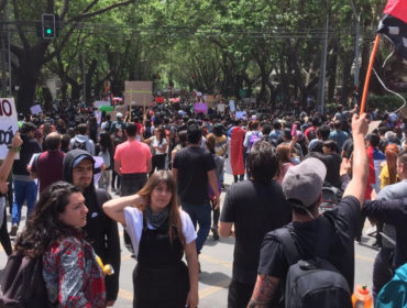 Miles de personas realizaron inédita movilización por la Av. Libertad de Viña del Mar