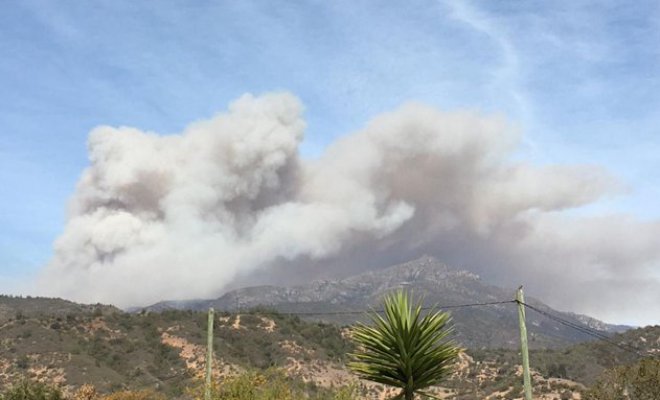 Intendencia de Valparaíso declaró alerta roja en La Ligua por incendio forestal