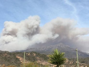 Intendencia de Valparaíso declaró alerta roja en La Ligua por incendio forestal