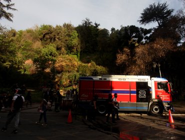 Bomberos de Santiago controló incendio que afectó a ladera del cerro Santa Lucía