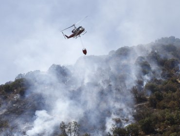 Incendio forestal se registra en el Cerro Chicauma de la comuna de Lampa