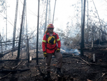 Incendio forestal declarado ha consumido 1,5 hectáreas en laguna de Curauma
