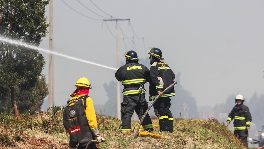 Intendencia Metropolitana declaró Alerta Roja en San Pedro por incendio forestal que se acerca a zona habitada