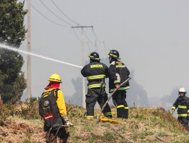 Intendencia Metropolitana declaró Alerta Roja en San Pedro por incendio forestal que se acerca a zona habitada