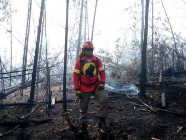 Incendio forestal declarado ha consumido 1,5 hectáreas en laguna de Curauma