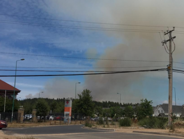 Declaran Alerta Amarilla en Valparaíso por incendio forestal con "avance rápido" en Curauma