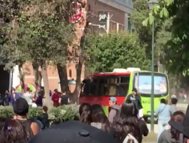 Conductor decidió evitar aglomeración de marcha y cruzó una plaza de Viña en su microbús