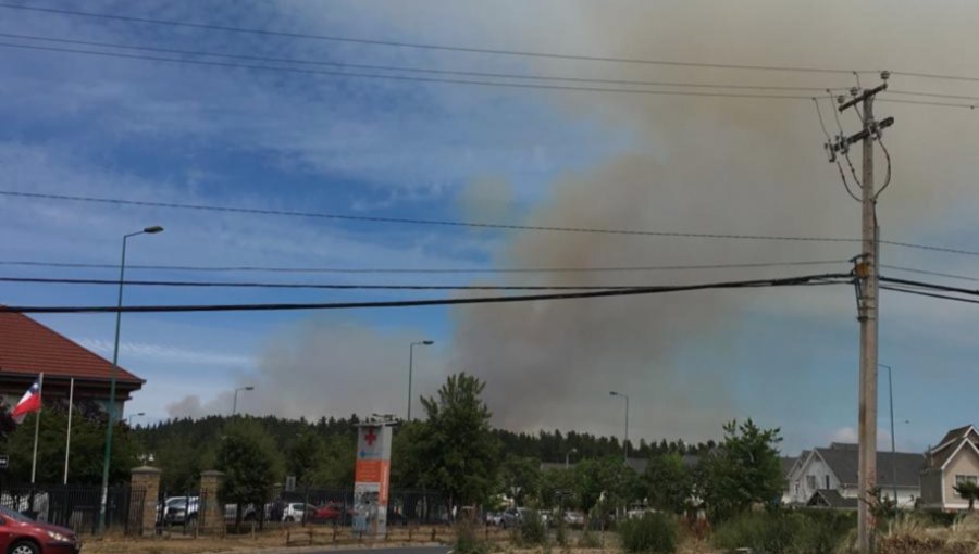 Declaran Alerta Amarilla en Valparaíso por incendio forestal con "avance rápido" en Curauma