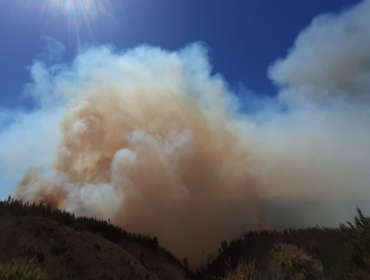 Incendio forestal en Curauma ha consumido 140 hectáreas: equivale a 280 canchas de fútbol