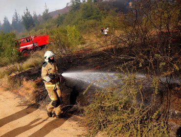 Extienden Alerta Temprana Preventiva para la región de Valparaíso por amenaza de incendio forestal