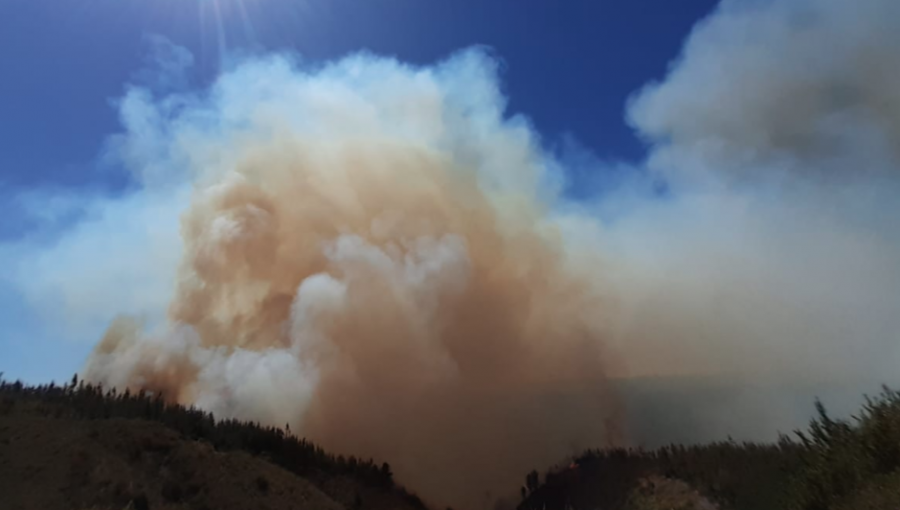 Incendio forestal en Curauma ha consumido 140 hectáreas: equivale a 280 canchas de fútbol