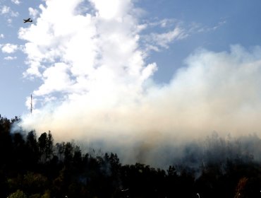 Decretan alerta roja para Providencia por incendio en cerro San Cristóbal