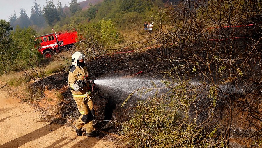 Extienden Alerta Temprana Preventiva para la región de Valparaíso por amenaza de incendio forestal