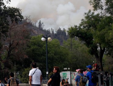 Incendio forestal en ladera del cerro San Cristóbal consumió 4 hectáreas de pastizales