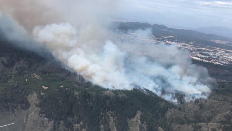 Mantienen Alerta Roja en Valparaíso por incendio forestal que ha consumido más de 70 hectáreas en Curauma