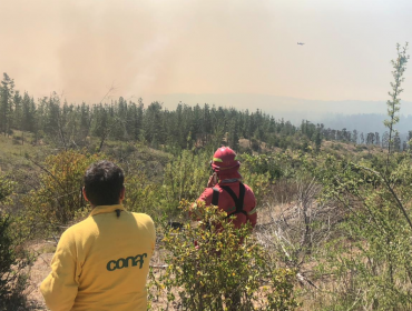 Incendio forestal en Placilla ha consumido 210 hectáreas: descartan avance de las llamas a zona poblada