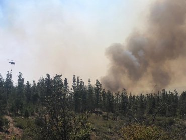 Incendio forestal en Curauma registra "comportamiento extremo" y proyección hacia Laguna Verde