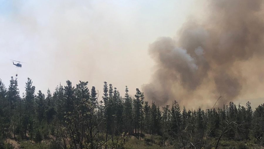 Incendio forestal en Curauma registra "comportamiento extremo" y proyección hacia Laguna Verde