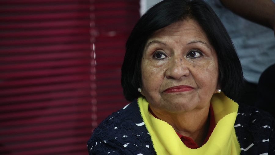 Gobierno pide al Tribunal Constitucional rechazar requerimiento de profesora de Antofagasta