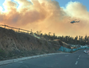 Incendio forestal en Curama ha consumido 320 hectáreas y avanza en dirección al camino La Pólvora