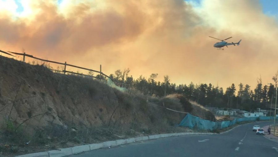 Incendio forestal en Curama ha consumido 320 hectáreas y avanza en dirección al camino La Pólvora