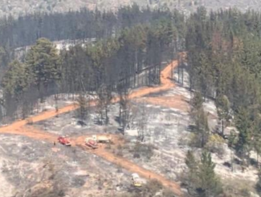 Incendio forestal en Curauma ha consumido 365 hectáreas: se mantiene la Alerta Roja en Valparaíso