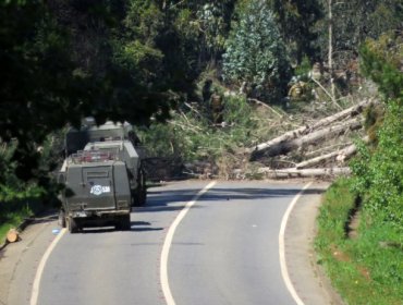 Ataques en Tirúa dejan un carabinero herido de bala y una cabaña destruida