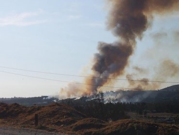 Incendio forestal consume 3.000 metros cuadrados de pastizales en sector Puente Colmo de Concón