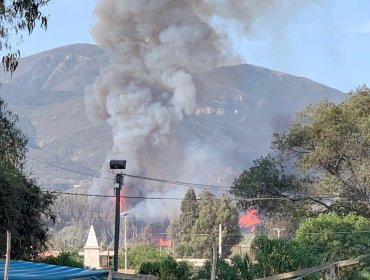 Intendencia de Valparaíso declara Alerta Roja para la comuna de Quillota por incendio forestal