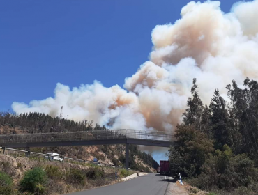 Incendio forestal de grandes proporciones se registra a un costado de la ruta 68, en Casablanca