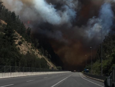 Alerta Roja: Tres incendios forestales en Valparaíso y Casablanca consumen 400 hectáreas