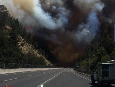 Declaran Alerta Roja en Valparaíso por incendio forestal de grandes proporciones en la ruta 68