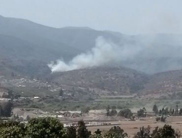 Rebrote mantiene activo incendio forestal en sector Puente Colmo de Quillota