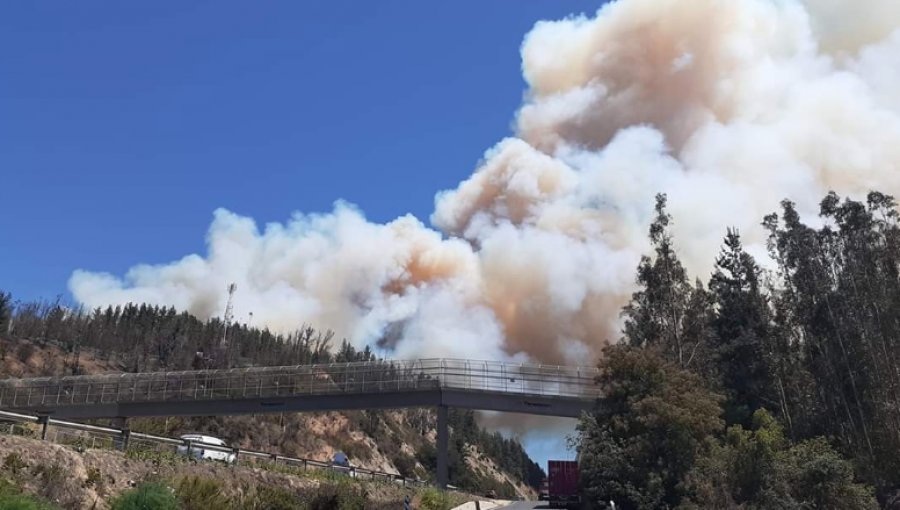 Incendio forestal de grandes proporciones se registra a un costado de la ruta 68, en Casablanca