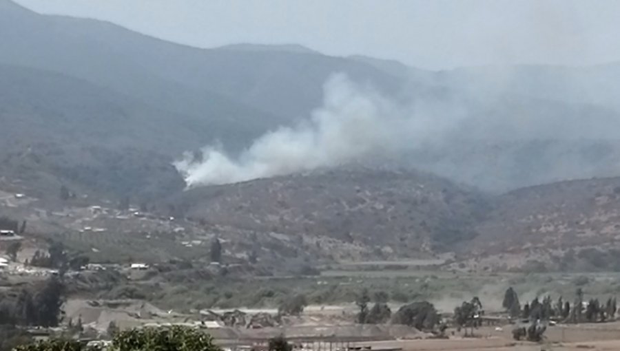 Rebrote mantiene activo incendio forestal en sector Puente Colmo de Quillota