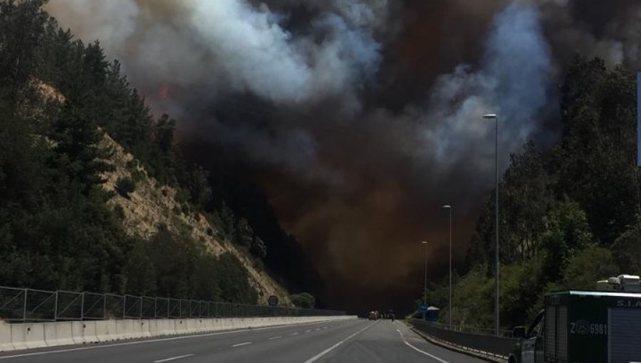 Declaran Alerta Roja en Valparaíso por incendio forestal de grandes proporciones en la ruta 68