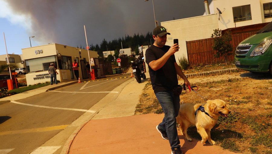 Impactantes imágenes del combate del incendio y las evacuaciones en sector de Curauma