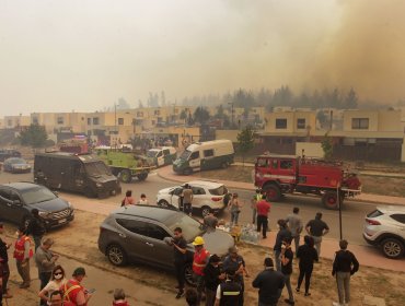 Alerta Roja en Valparaíso: Amplio despliegue del Gobierno Regional y trabajo de una veintena de aeronaves evita que fuego llegue a casas de Curauma