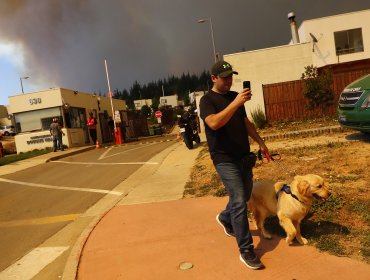 Impactantes imágenes del combate del incendio y las evacuaciones en sector de Curauma