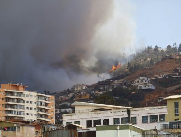 Al menos 3 casas sufren daños tras nuevo incendio en cerro de Valparaíso