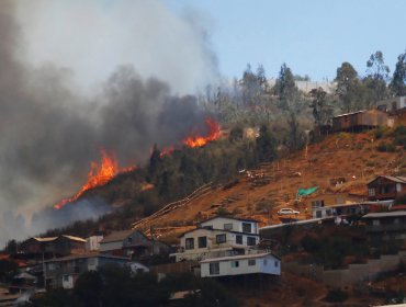 Jorge Sharp pide al Ministerio Público que designe fiscal exclusivo para investigar origen de incendios