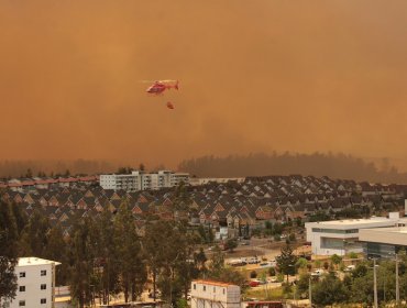 Fiscalía Regional inició investigación de oficio por incendio en Curauma