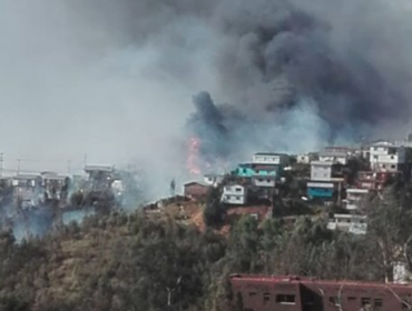 Nueve viviendas consumió violento incendio en sector Rodelillo de Valparaíso