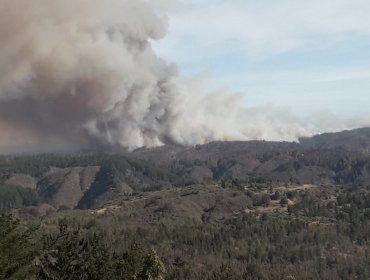 Conaf: Activos se mantienen cinco incendios forestales en la región de Valparaíso