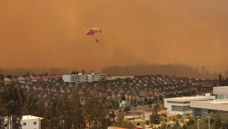 Fiscalía Regional inició investigación de oficio por incendio en Curauma